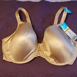 Playtex Love My Curves Bra